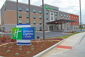  Holiday Inn Express & Suites - St. Louis South - I-55, an IHG Hotel  Мелвилл